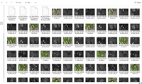 Golf Course Photogrammetry Dataset - Mavic 3 Multispectral - 400ft AGL 80/80