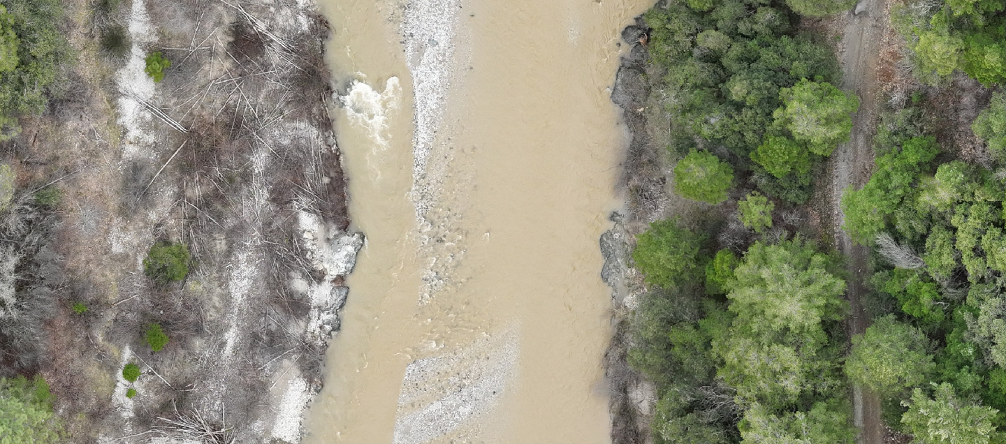 Sierra Nevada Creek Photogrammetry Datasets - 350ft - Mavic 3 Multispectral